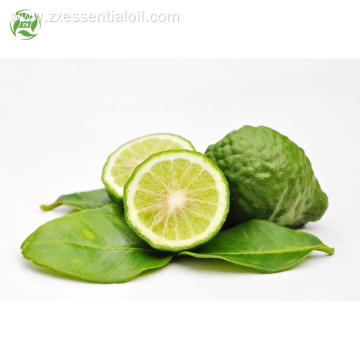 Citrus Aurantifolia Cold Pressed Lime Oil